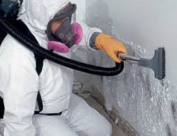 Trusted Travilah, MD Mold Removal & Remediation Experts